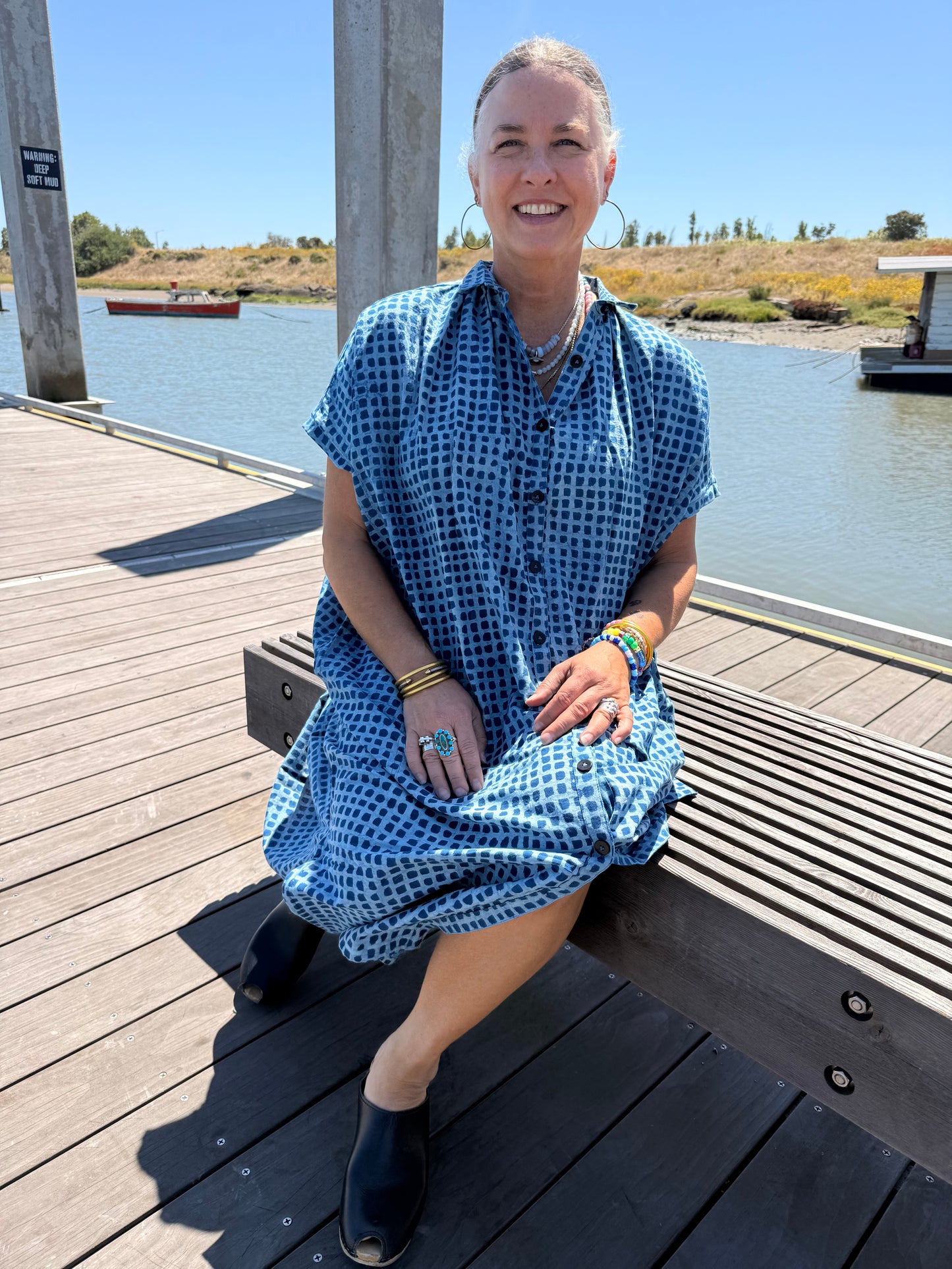 Elise Dress Indigo Check Light